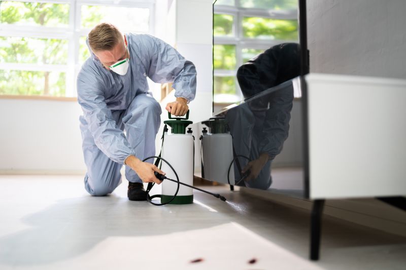 Pest Extermination Service in Katy, TX