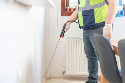 Ants Extermination Service in Rockwall, TX