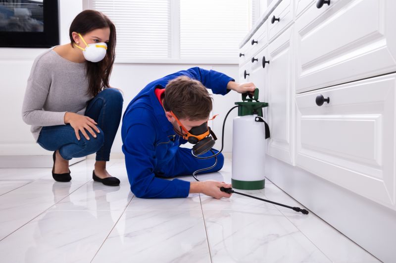 Bug Extermination Service in Frisco, TX