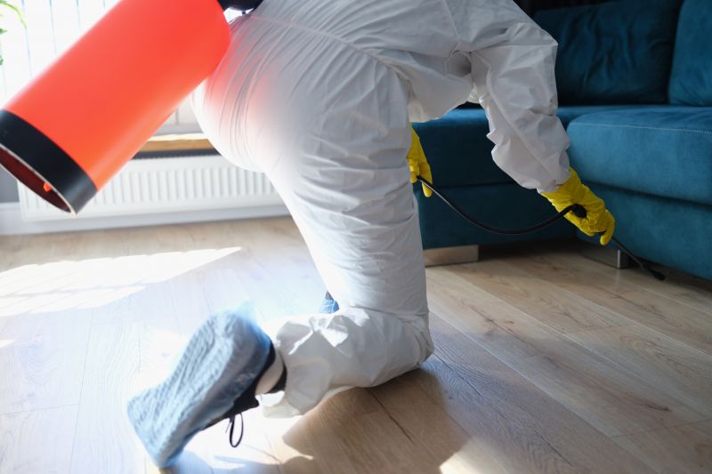 Bug Extermination Service in Frisco, TX