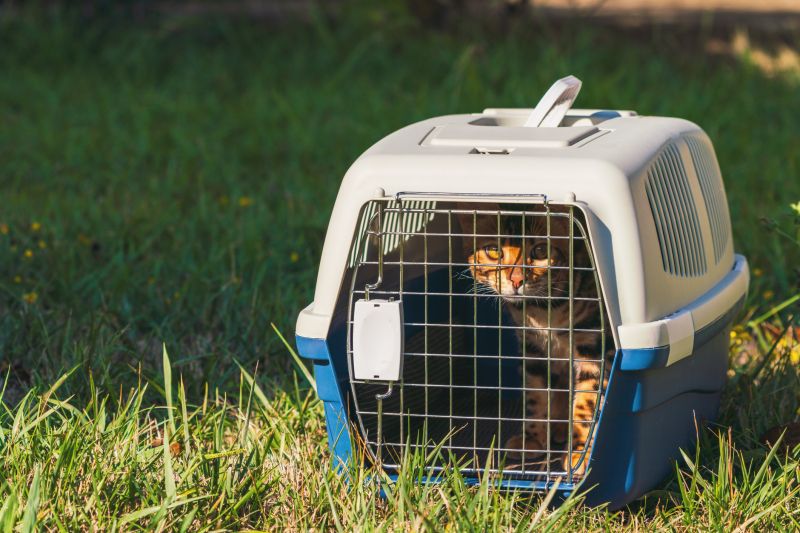 Transport Containers