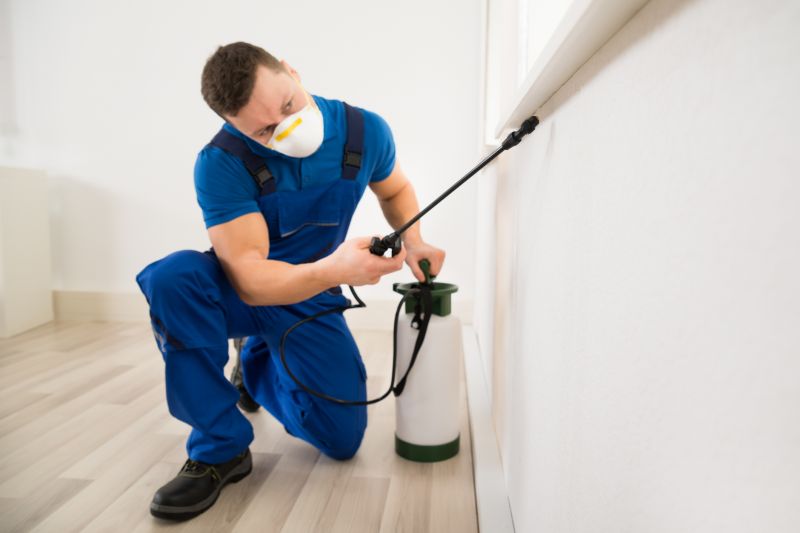 Moth Extermination in Frisco, TX