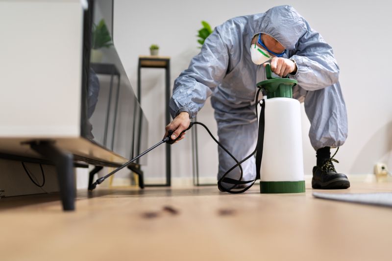 Pest Management Service in Katy, TX