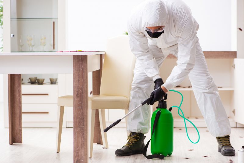 Yard Pest Control in Frisco, TX